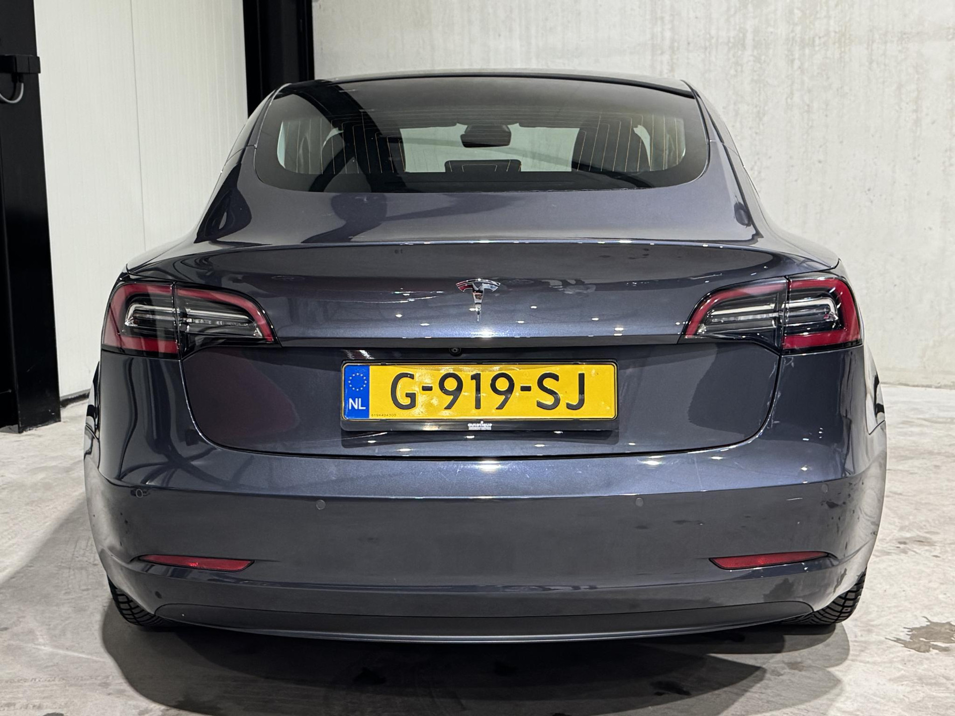 Tesla Model 3 Standard RWD Plus 60 kWh G919SJ